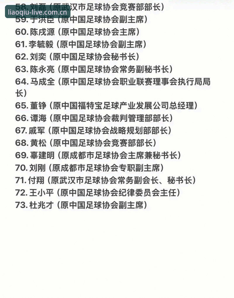 中国足协第三批禁足名单全面解析：17人终身禁赛背后的行业整顿与治理深意