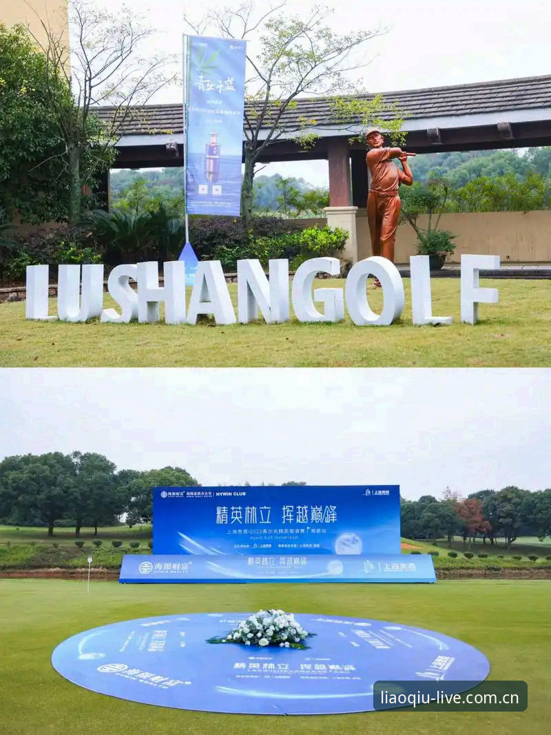 揭秘聊球怎么下载：从安装到畅享赛事直播的完整指南